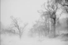 Photo by Laura Vroman