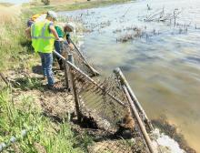 It was hot and dirty work making the repairs to the turtle fences, but the benefit was worth it for 24 volunteers who wanted to keep wildlife safe, and off the highway.