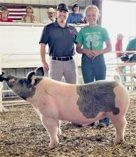 Champion Market Swine owned by Addison Stec, purchased by Nebraska Bank for a $1,100 premium.