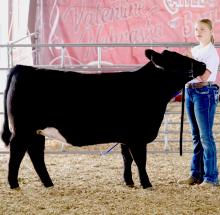 Sydnee Dawson exhibited the Champion Carcass Heifer.