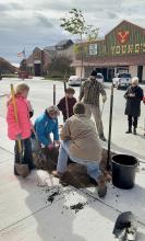 First Tree on Main Street is planted in front of Sandhills State Bank