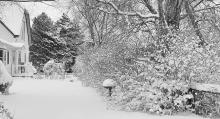 Photos by Laura Vroman