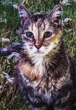 Jan Knispel is fond of impressionistic artists and would like to emulate their techniques - additionally, she has taken numerous classes to enhance her artistic talents in several genres.