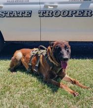 Nebraska State Patrol’s new K-9s, RJ at right, and Phoenix is pictured above.