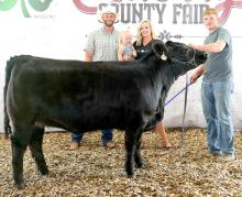 The Champion Market Heifer owned by Dylan Naslund sold for a $2,500 to Sandhills Family Dental. Photos by J. Nollette Photography