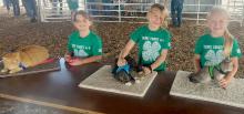 Clover Kid Cat Show L to R: Jenessa Garwood, Laramie Foster, Adley Swanson.