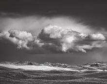 Photo by Laura Vroman