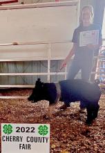 Aubrey Benson was the Champion Sr. Swine Showman.