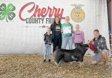 Champion Senior Swine Showman Addison Stec.