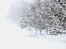 Jack Frost and fog hang around - all day!
