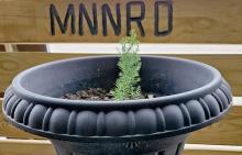 MNNRD participates in Arbor Day activities