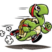 Find your turtles for  the  Turtle Races  Saturday,  August 13