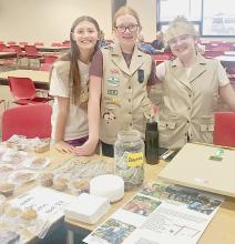 Ellison LaDeaux, Ruthie Kaup, and Lilybet Rolfe held a Bake Sale fund raiser at VHS.