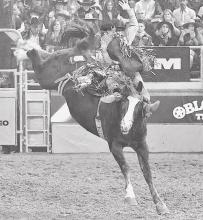 Garrett Shadbolt of Merriman, is hanging on in the 10th round of the National Finals Rodeo in Las Vegas. Photo by Robby Freeman