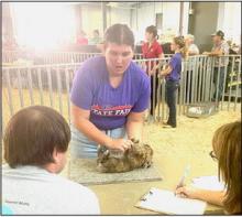 State Fair Senior Rabbit Showmanship, Jenalee Garwood.
