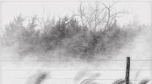 Photo by Laura Vroman