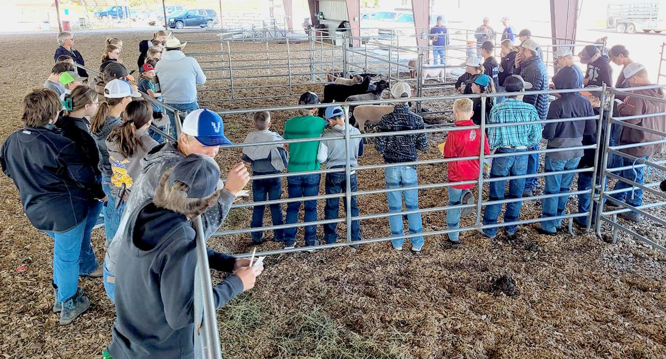 Annual Cherry County Livestock Judging results