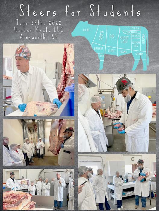 Steers for Students program