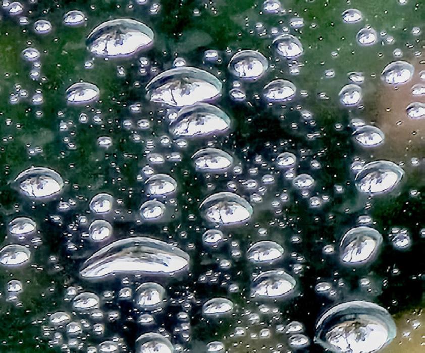 Record setting rain!!!