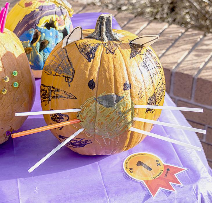 The Valentine Public Library said of their pumpkin decorating contest: “We were so very pleased with the participation and had a total of 28 pumpkins.” The winners are as follows: Child below five years old, Lydia Hand; youth between five and seven years old was a tie between Leo Giese and Lauralee Krueger; youth between eight and 11 years old, Luke Osnes; youth between 12 - 18, Katelyn Bitner; adults 18 and older, Jan Knispel.