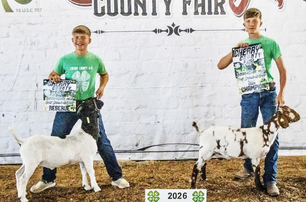 Earning Reserve Intermediate Meat Goat Showman was Heston Wickman; and August Wickman earned Champion Intermediate Meat Goat Showmanship.