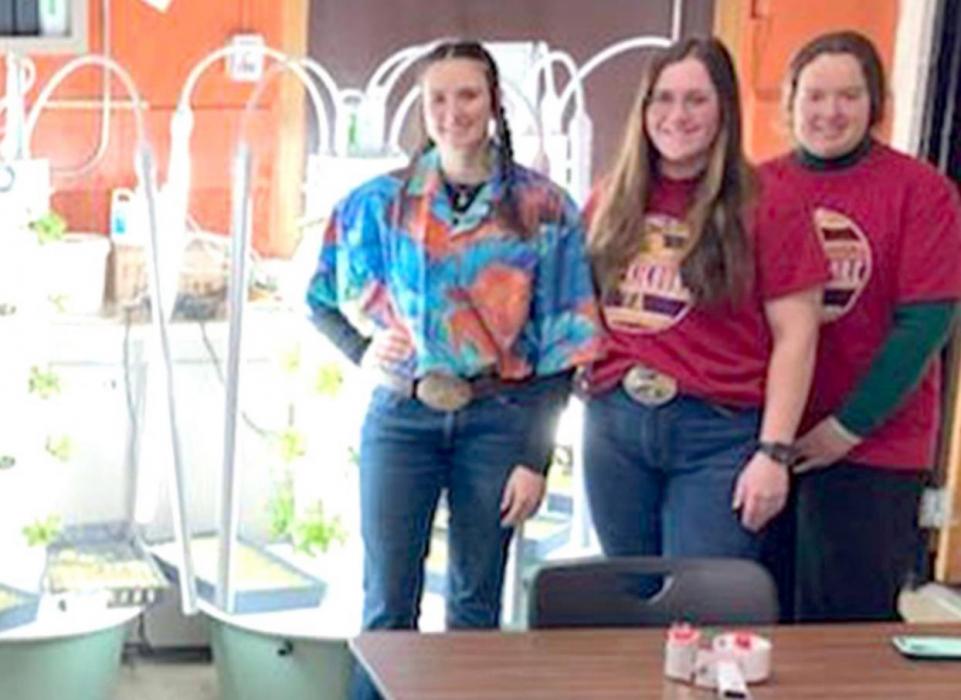 FFA students tend to their vertical aeroponic garden above, and what it looks like below. They are able to grow up to 20 plants at a time per vertical garden.