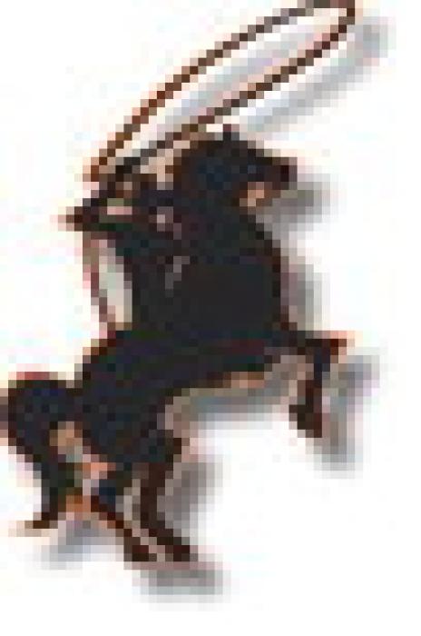 Alt Text for Image