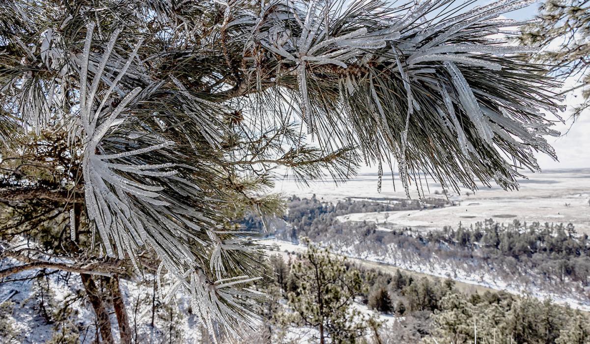 Really, Mother Nature?