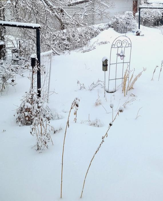 It’s a very chilly Winter Wonderland! 