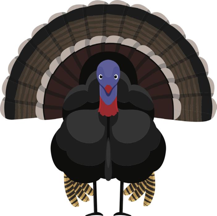 The Gobbler’s Trail: A Sandhills Thanksgiving Whodunit