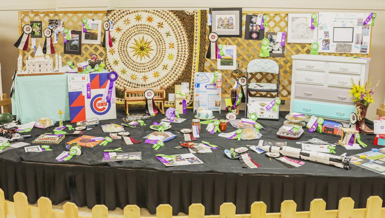 Photo by Laura Vroman Nicely arrayed are the Cherry County entries that will go to the Nebraska State Fair. There are a lot of talented and crafty people in our county. Congratulations! Fair results will be in a later edition.