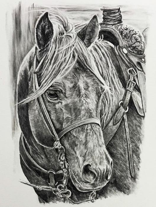 June Art Show at the Valentine Public Library, with a special meet the artist reception June 30, 2025, from 1:00-2:30 p.m. for June artist Susan Reendeers McNaught. It is hosted by Sand Painters Art Club and Valentine Public Library. Everyone is invited to attend.