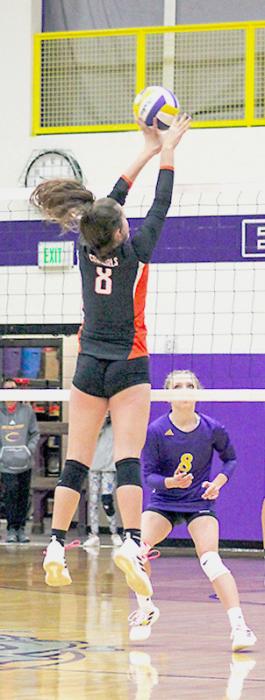 Cowgirls off to a busy season