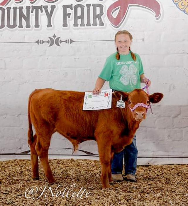 Katherine Schumacher Champion Bucket Calf.