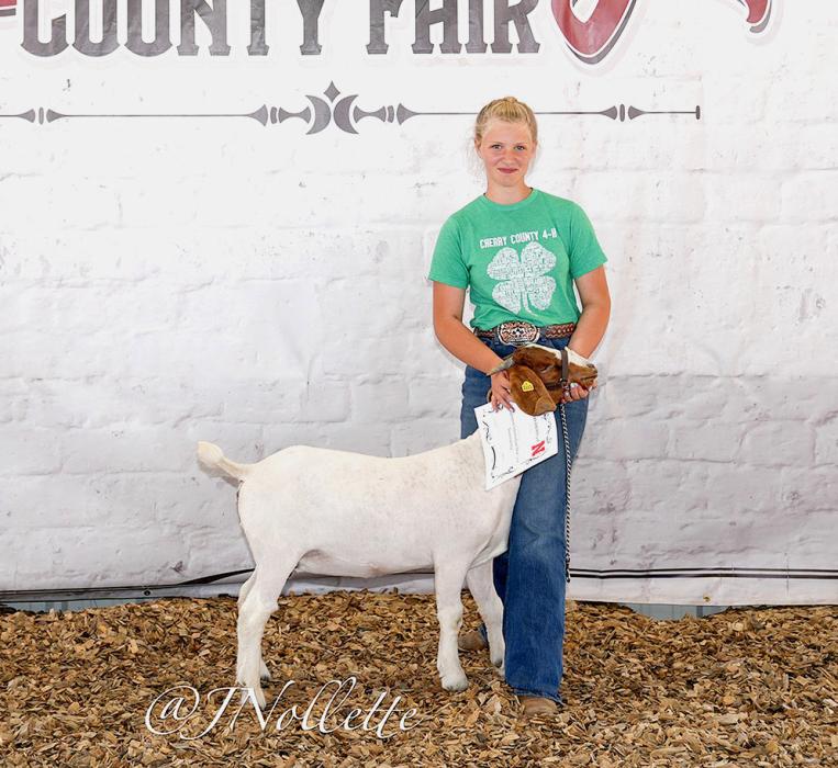 Adalin Wickman was the Champion for Intermediate Meat Goat Showmanship.