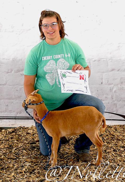 Addie Sexson exhibited the Champion Dairy Goat Kid and she was Champion Intermediate Dairy Goat Showman.