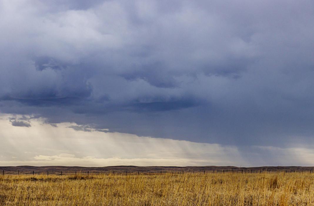 Above, sheets of rain begin falling on parched ground! Photos by Laura Vroman