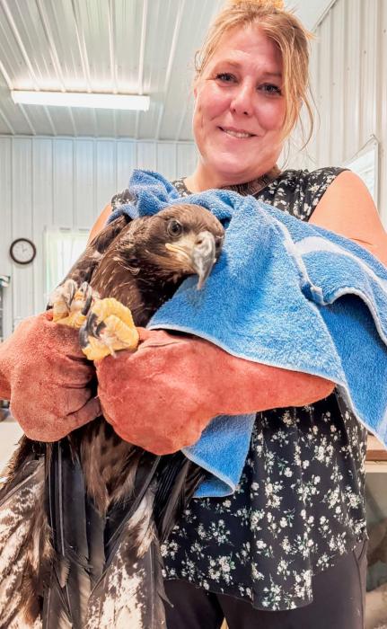 Tina Boone is glowing at the opportunity to become a certified transporter and volunteer for the RCA. She is pictured with the young, rehabilitated eagle, Dolly Boone, before the long trip back to Cherry County. Complimentary photo