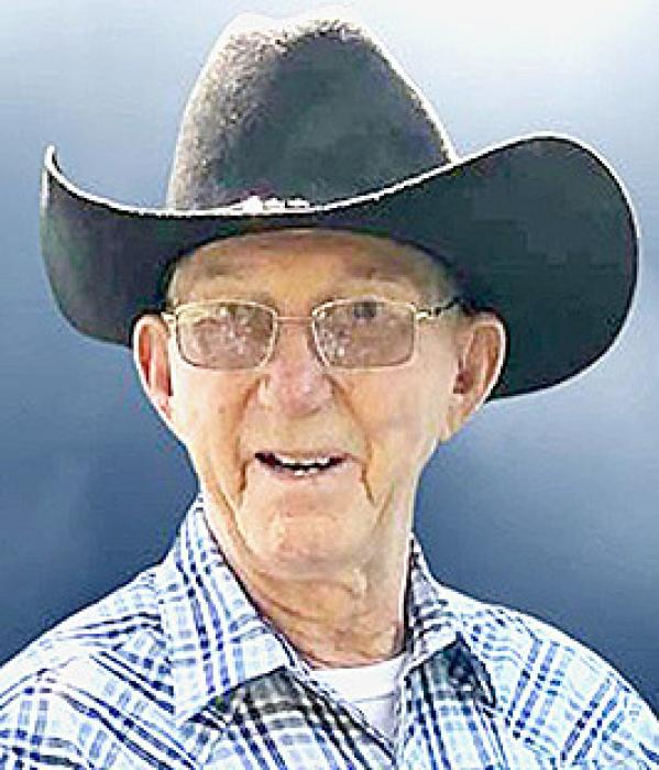 Harlin D. Welch, 88