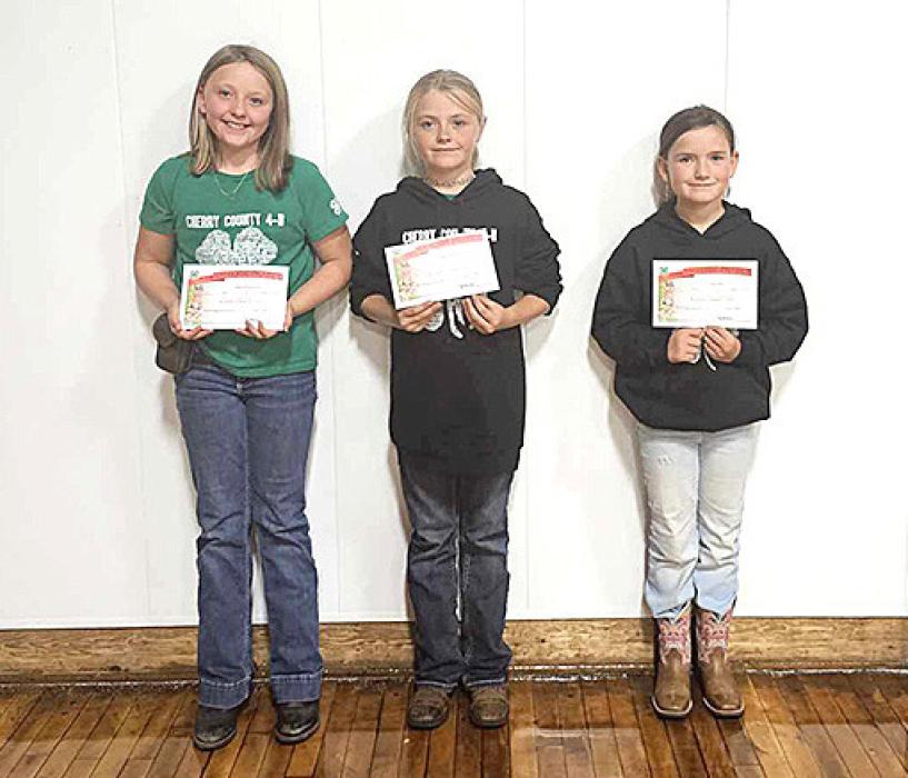Horse Advancement Levels, Katie Schumacher, Kayleigh Harms, Ava Rahn.