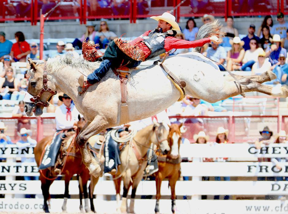 Garrett Shadbolt competes at Cheyenne Frontier Days. He has qualified for his third Wrangler National Finals Rodeo, pro rodeo’s world championship. Photo courtesy of Jackie Jensen