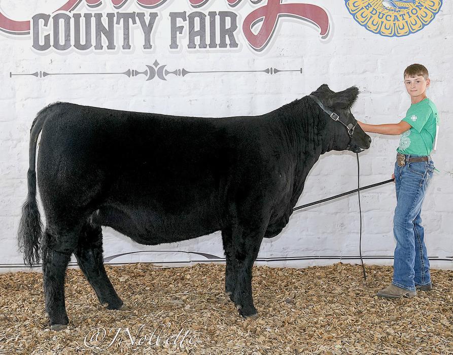 Champion Intermediate Beef Showmanship, Tanner Heath.