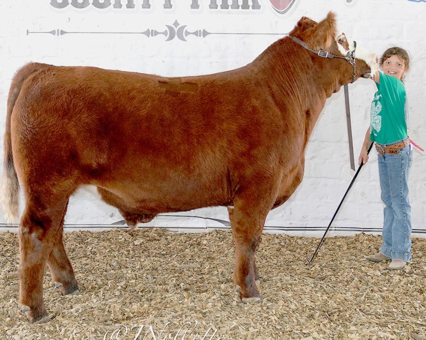 Champion Junior Beef Showmanship, Hayden Hoffman.