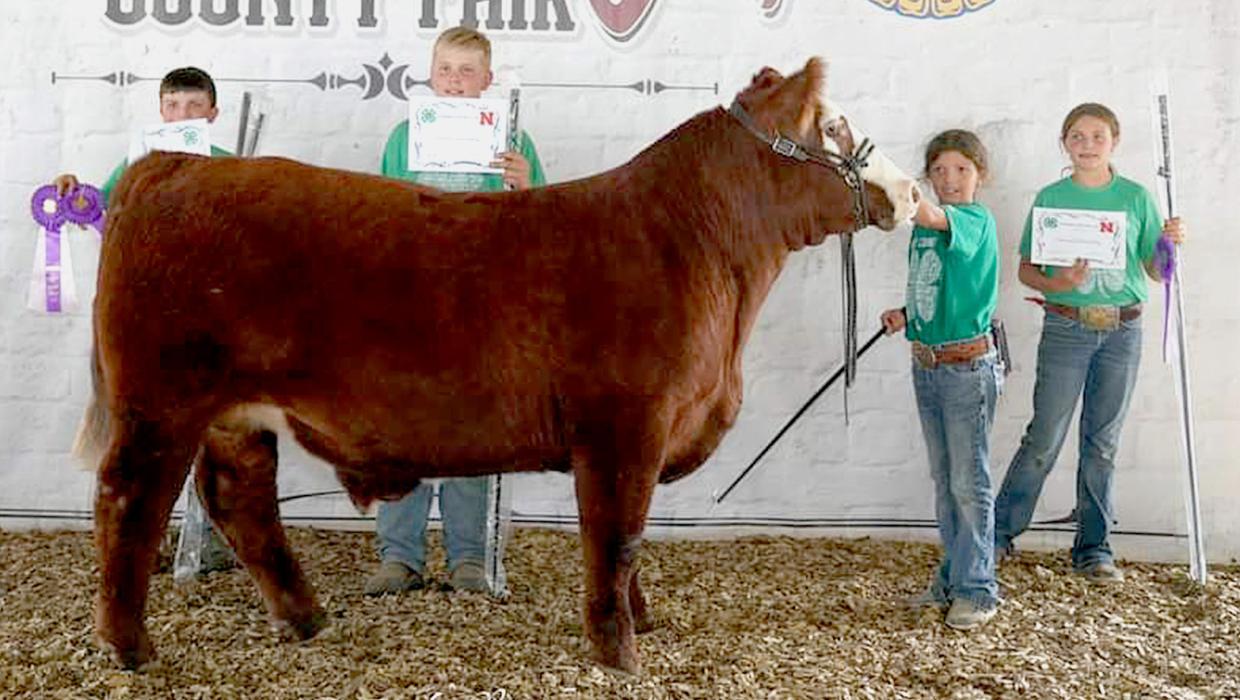 2024 Beef Team Fitting Champions – Haxton Hoffman, Hunter Harms, Hayden Hoffman, and Kennedy Hoffman.