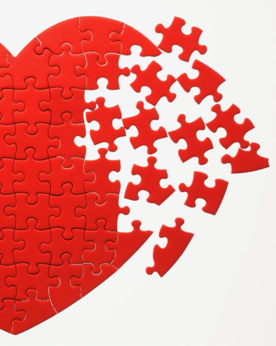 Putting the pieces together at the Jigsaw Puzzle Competition