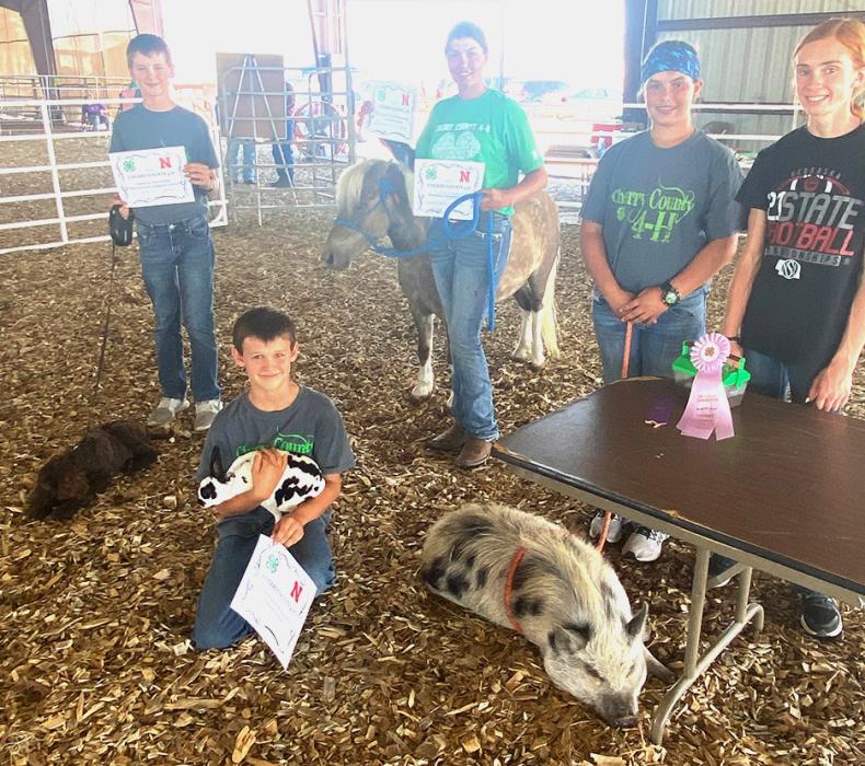 Companion Animal Award winners are pictured, back row, L to R: James Walkling, Rylie Sexson, Addie Sexson, helper Ayden Naslund. Front row, Carson Walkling.