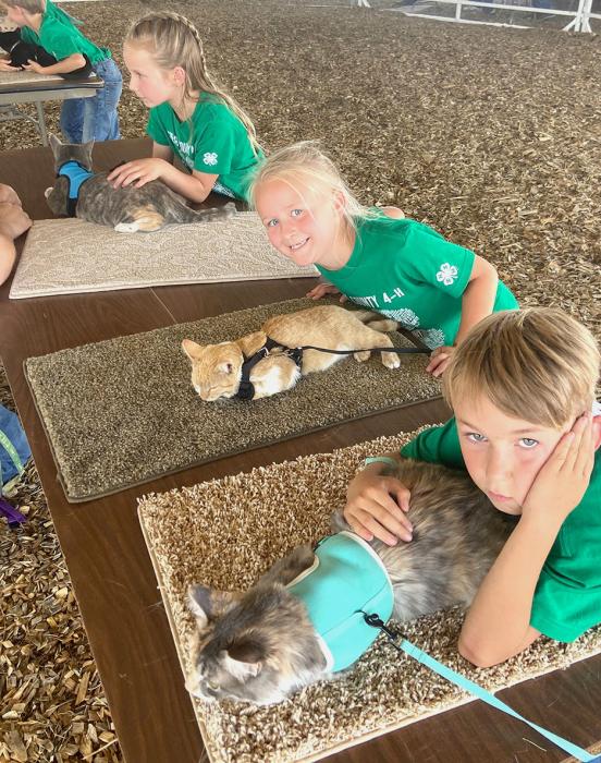 Clover Kid Cat Show participants are pictured from L to R: Steklin Robinson, Laramie Foster, Adley Swanson, and Layfe Slagowski.