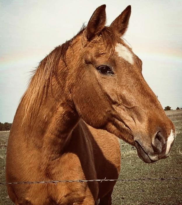 In her calm eyes and steady presence, we’re reminded why vigilance and care matter - every single day. Photo by Tina Boone