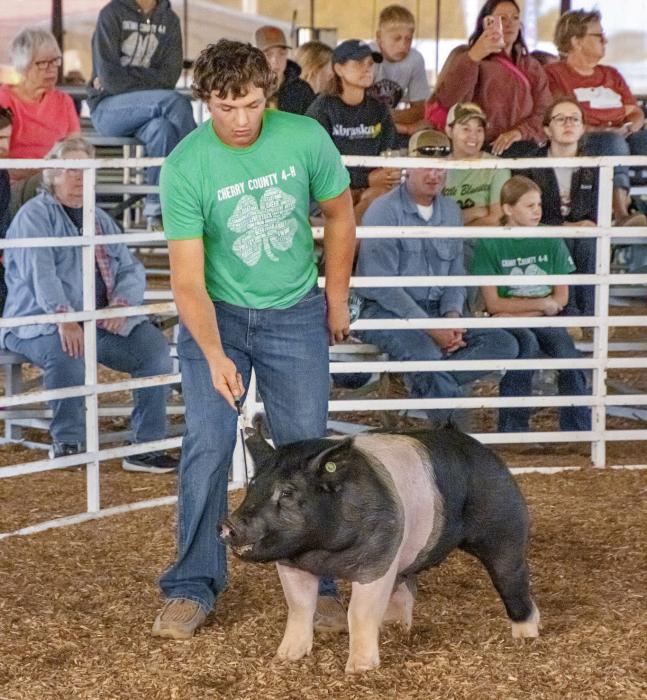 Champion, Jenessa Garwood for her bucket calf. Photos by Tina Boone