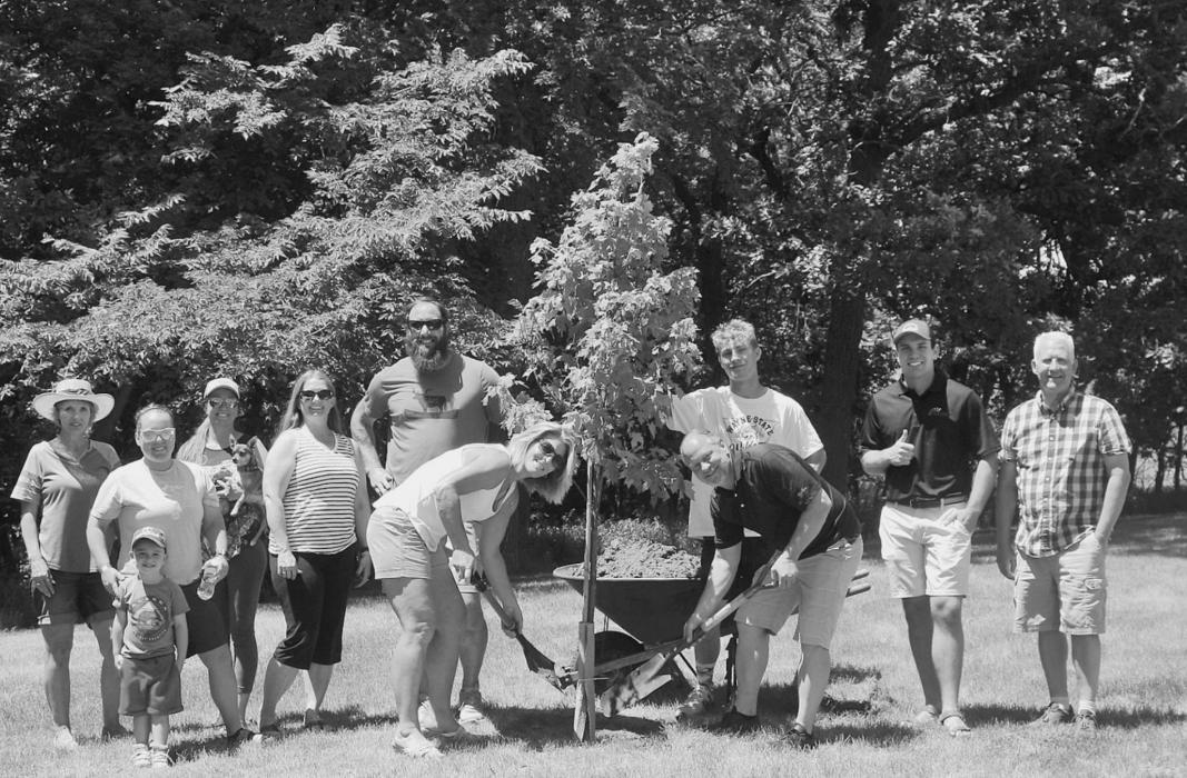 To celebrate 101 birthday of the Valentine City Park two autumn blaze maple trees were planted by Cherry Street Nursery. Photo by Regina Osburn